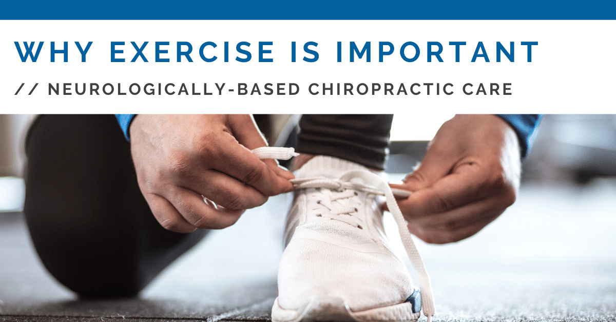 Exercise and Chiropractic - Vero Health Center - West Des Moines